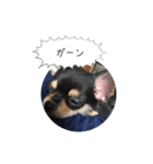レオンさんの気持ち（個別スタンプ：6）
