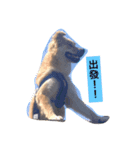 CurryNowYeeBo（個別スタンプ：4）