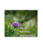 niko-niko（個別スタンプ：10）