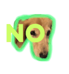 犬のハンコその1（個別スタンプ：3）