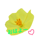 花と自然のある暮らし（個別スタンプ：1）