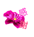 花と自然のある暮らし（個別スタンプ：2）