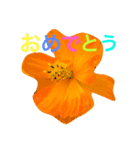 花と自然のある暮らし（個別スタンプ：7）