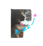 BOB's voice！（個別スタンプ：5）