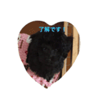 BOB's voice！（個別スタンプ：6）