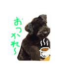 BOB's voice！（個別スタンプ：7）