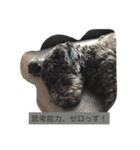 BOB's voice！（個別スタンプ：11）