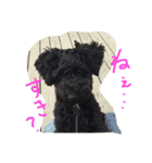 BOB's voice！（個別スタンプ：14）