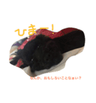 BOB's voice！（個別スタンプ：15）