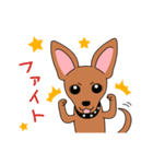コロ助の何気ない一言（個別スタンプ：2）