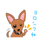 コロ助の何気ない一言（個別スタンプ：3）