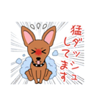 コロ助の何気ない一言（個別スタンプ：6）