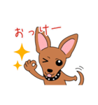 コロ助の何気ない一言（個別スタンプ：7）