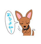 コロ助の何気ない一言（個別スタンプ：9）