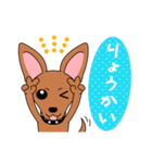 コロ助の何気ない一言（個別スタンプ：12）
