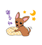 コロ助の何気ない一言（個別スタンプ：20）