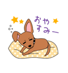 コロ助の何気ない一言（個別スタンプ：21）