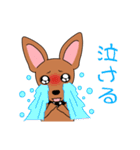 コロ助の何気ない一言（個別スタンプ：24）