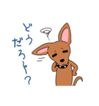 コロ助の何気ない一言（個別スタンプ：31）