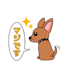 コロ助の何気ない一言（個別スタンプ：33）