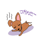 コロ助の何気ない一言（個別スタンプ：40）