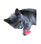 子猫のロゼッタ（個別スタンプ：12）