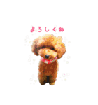 トイプーmoco！！（個別スタンプ：3）