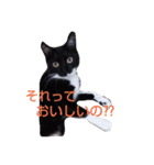 靴下ねこ2（個別スタンプ：14）
