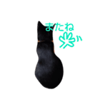 靴下ねこ2（個別スタンプ：25）