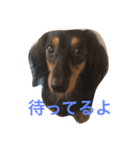 coo＆rei's happy time（個別スタンプ：4）