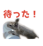 デグーのさすけとゆかいな仲間たち！（個別スタンプ：10）