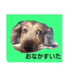 ラブリー ヒューくん（個別スタンプ：1）