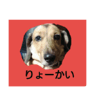 ラブリー ヒューくん（個別スタンプ：3）
