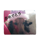 ラブリー ヒューくん（個別スタンプ：5）