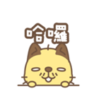 Bald Cat（個別スタンプ：1）