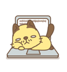 Bald Cat（個別スタンプ：14）