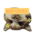 C＆D Family（個別スタンプ：6）