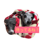 お豆さん's 3（個別スタンプ：2）