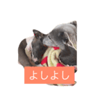 お豆さん's 3（個別スタンプ：3）