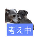お豆さん's 3（個別スタンプ：6）