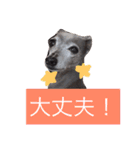 お豆さん's 3（個別スタンプ：11）