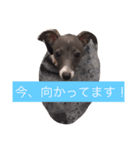 お豆さん's 3（個別スタンプ：14）