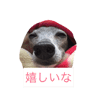 お豆さん's 3（個別スタンプ：15）