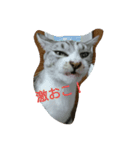 RunRunCat（個別スタンプ：2）
