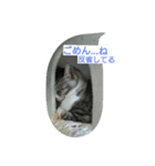 RunRunCat（個別スタンプ：3）
