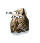 RunRunCat（個別スタンプ：4）