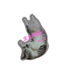 RunRunCat（個別スタンプ：7）