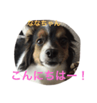 パピマル＊ななちゃん（個別スタンプ：1）