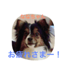 パピマル＊ななちゃん（個別スタンプ：2）