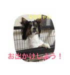 パピマル＊ななちゃん（個別スタンプ：3）